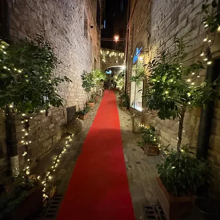 Panorama Luxe *